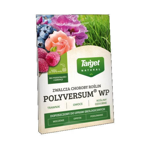 polyversum
