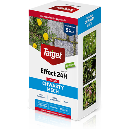 effect 24h 1
