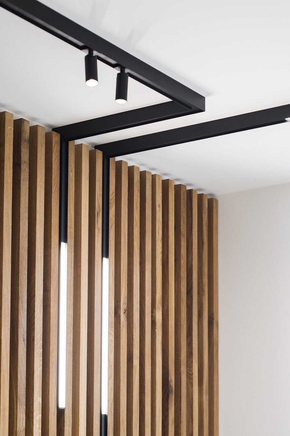 labra ray system nt osteocenter poznan krzysztof zgola