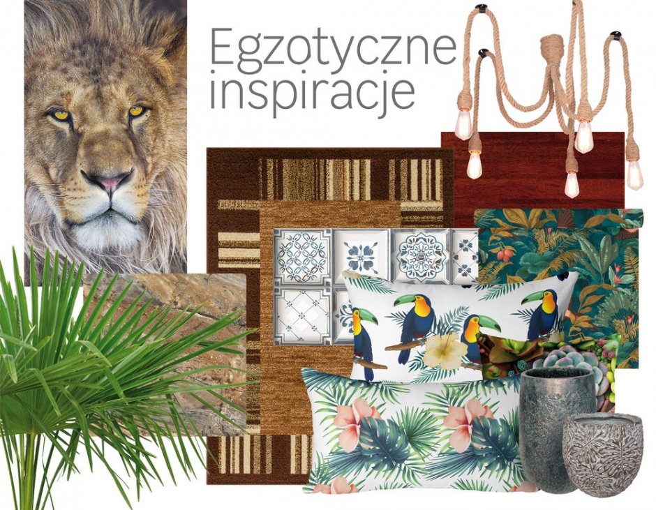 leroy egzotyczne inspiracje