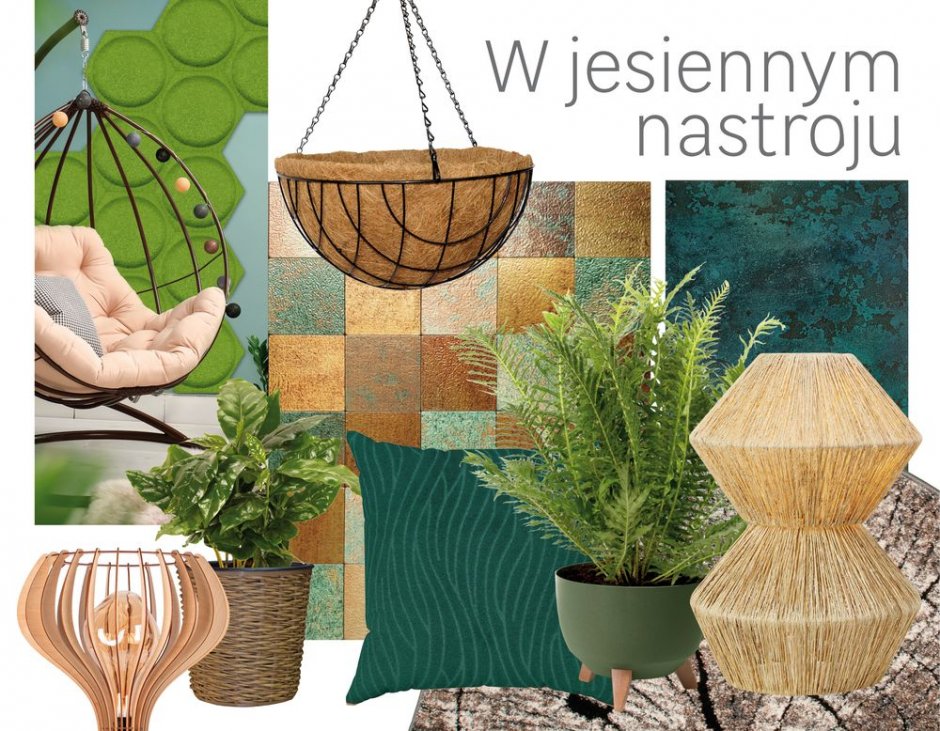 leroy w jesiennym nastroju