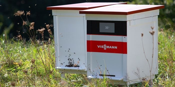 Viessmann angażuje się w pomoc dla owad&oacute;w zapylających, fot. Viessmann