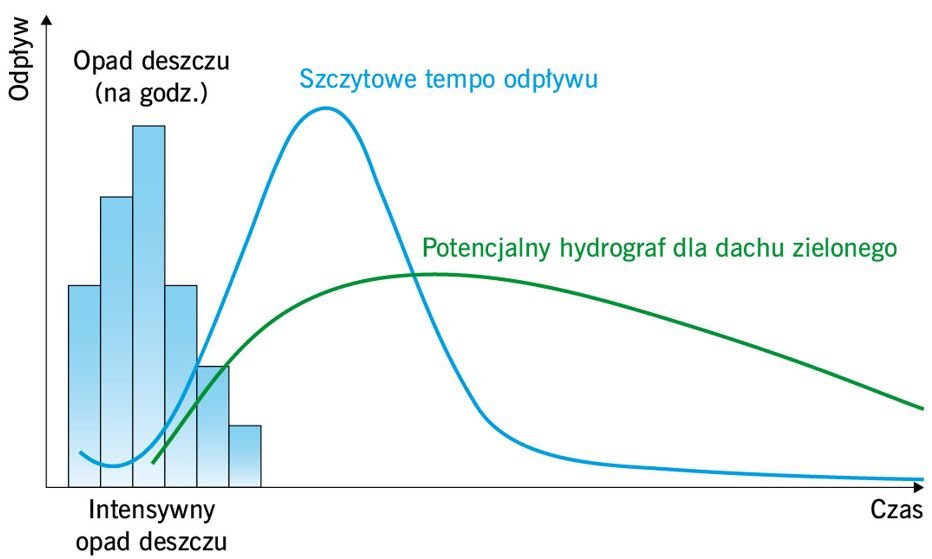 rys2 dach zielony