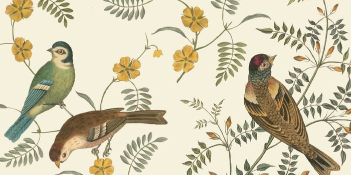 Botaniczny decoupage &ndash; sztuka dekorowania, fot. Annie Sloan