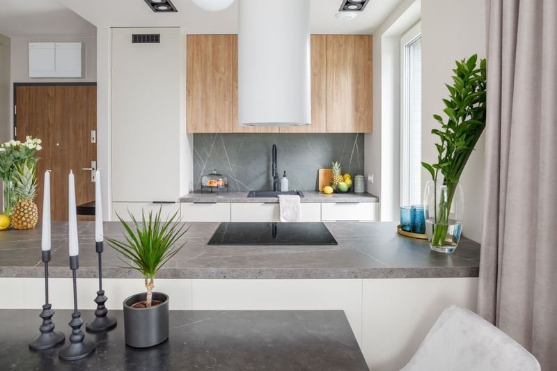 decoroom gwiazdzista marek koptynski10