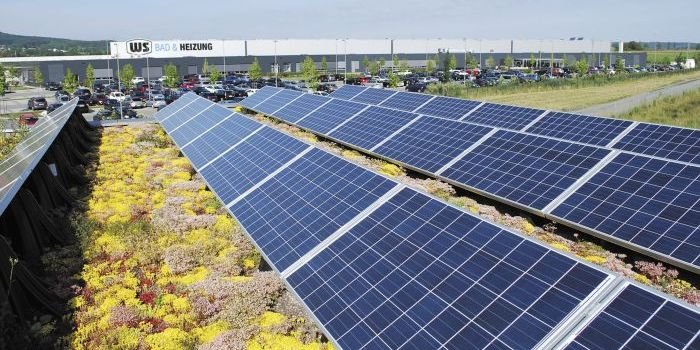 Fotowoltaika na zielonym dachu z roślinnością w uprawie ekstensywnej, fot. Optigruen International AG