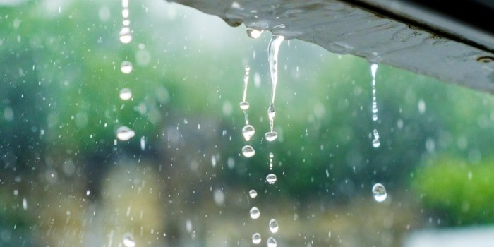 Jak oszczędzać wodę deszczową?
