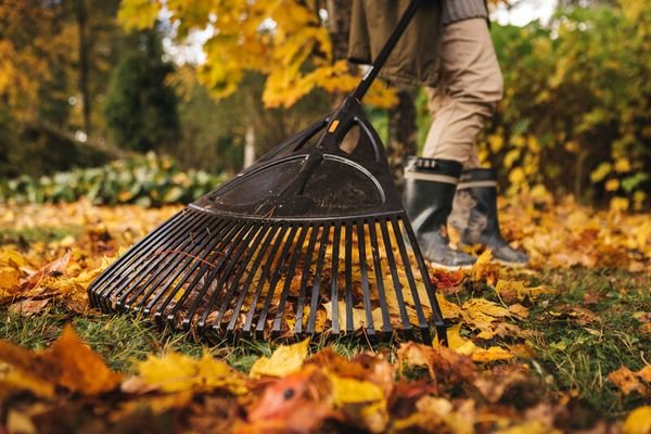 fiskars grabie xl solid