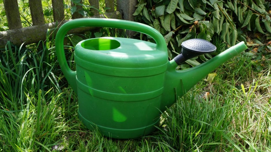 Oszczędzanie wody w ogrodzie, fot. pxhere_com