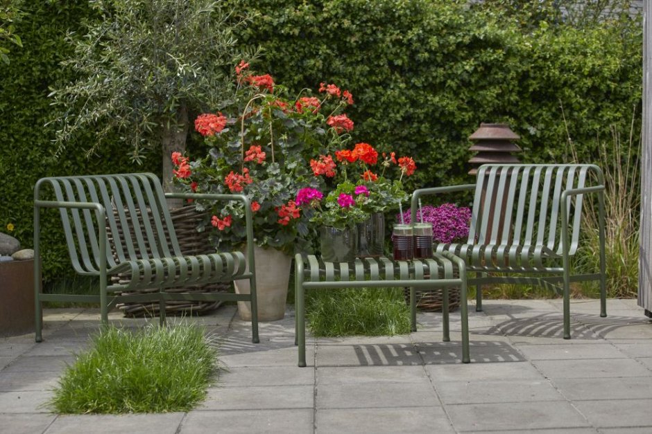 2022 geraniums 3000 summer vibrance 01 mini