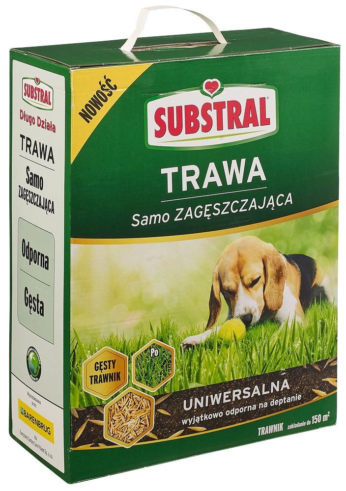 nasiona traw leroy merlin