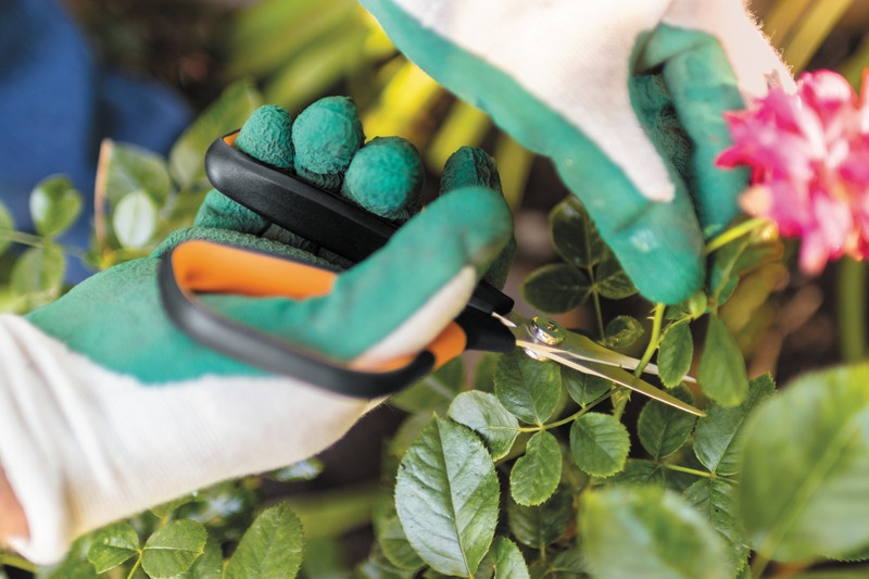fiskars przycinanie roz