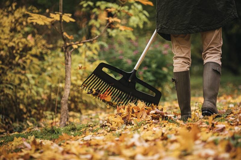 grabie-do-lisci-Fiskars