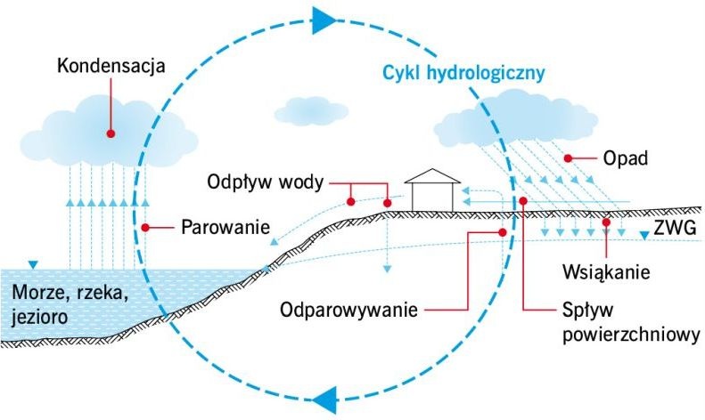 rys1 monczynski