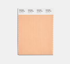 peach fuzz 13 1023 pantone color institute