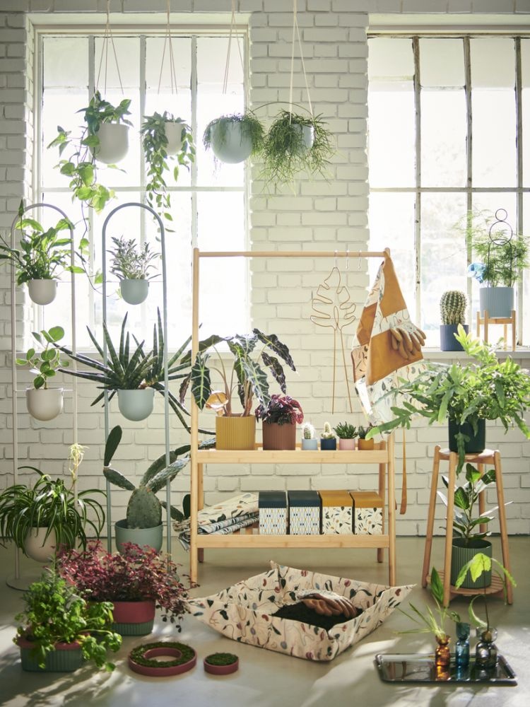 ikea daksjus donice
