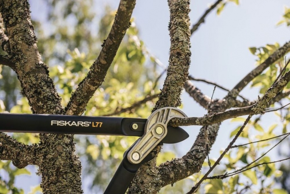 sekator kowadelkowy fiskars
