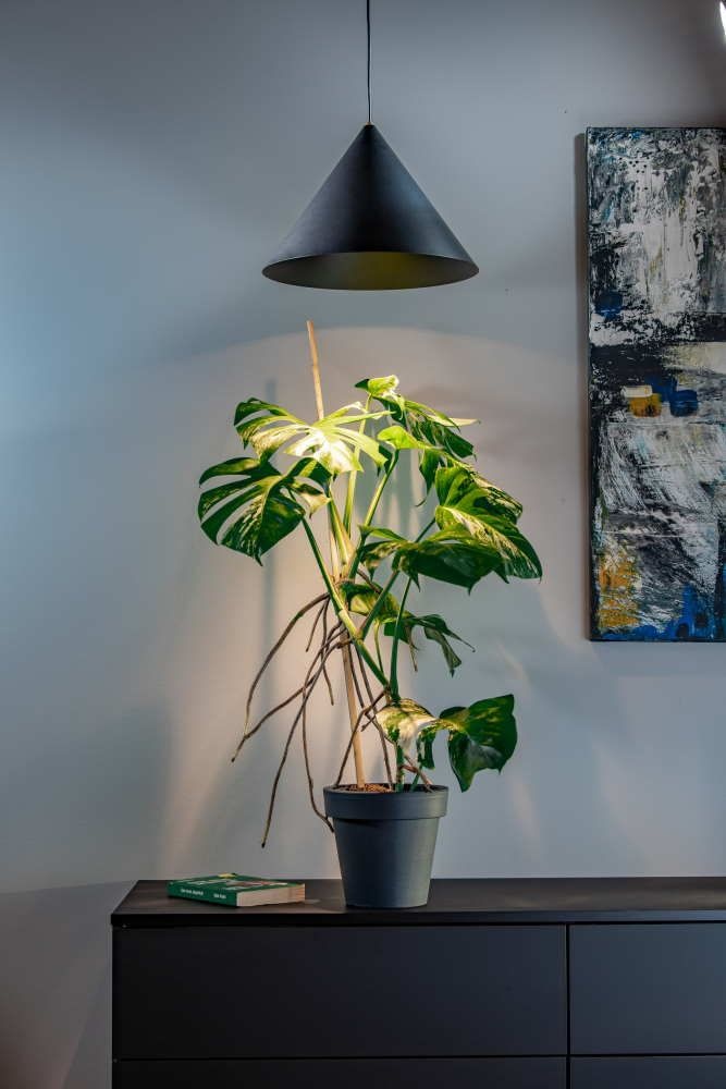 lampa zen nowodvorski lighting