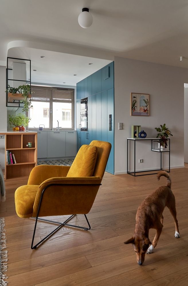 salon fotel nobonobo