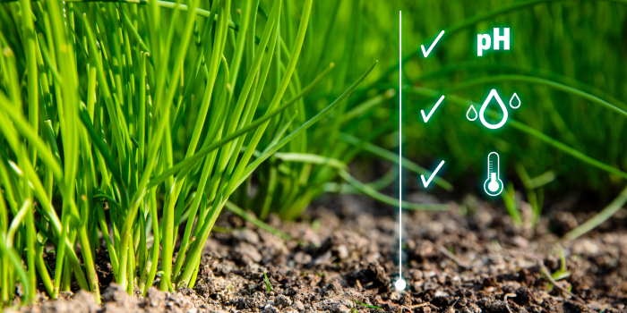 Inteligentne ogrodnictwo odpowiedzią na zmiany klimatu. Fot. W.Legutko