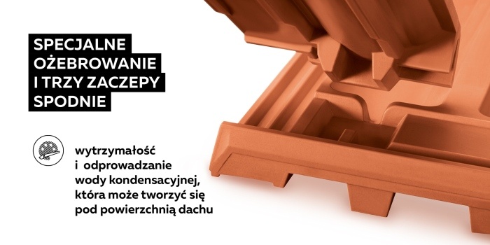 Ponadczasowa dachówka RAPIDO