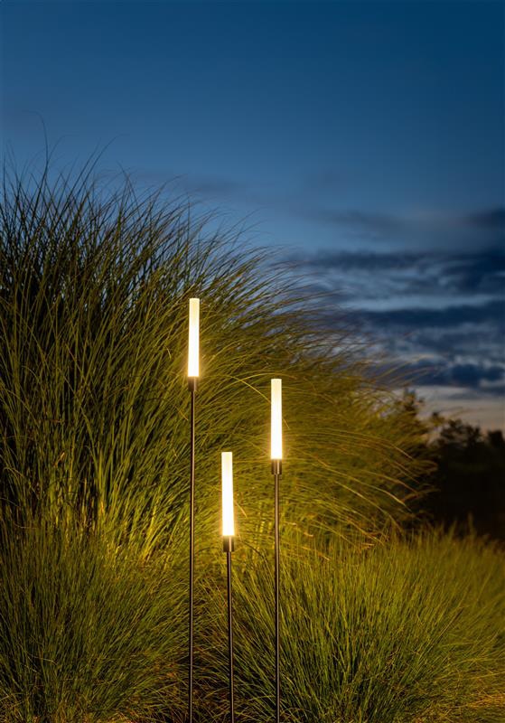 zola-led