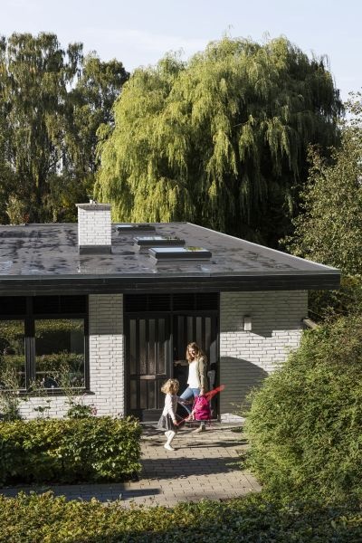 okno dachowe velux