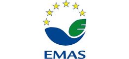 system Emas logo